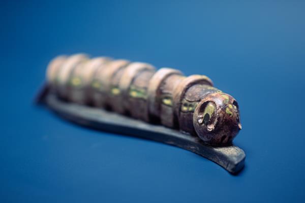 Rups op blad voorbeeld